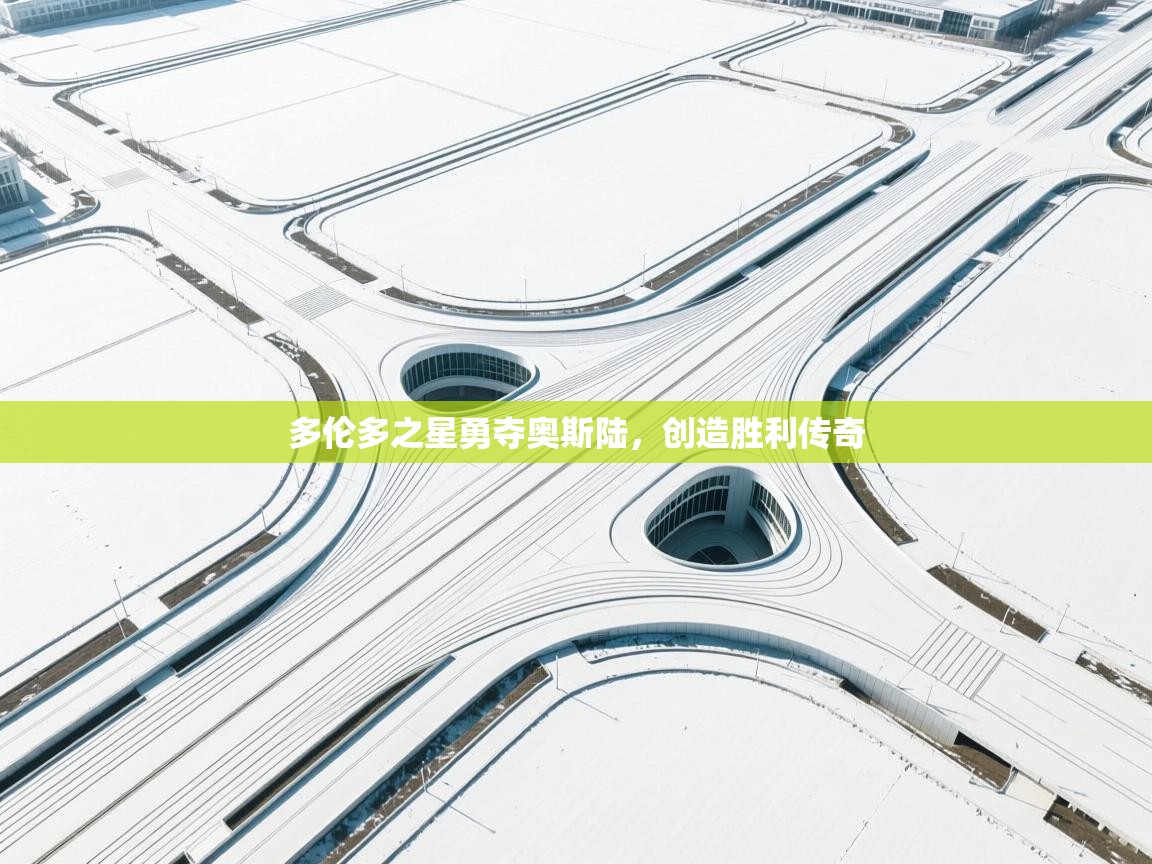 开云体育app下载地址-多伦多之星勇夺奥斯陆，创造胜利传奇  第2张