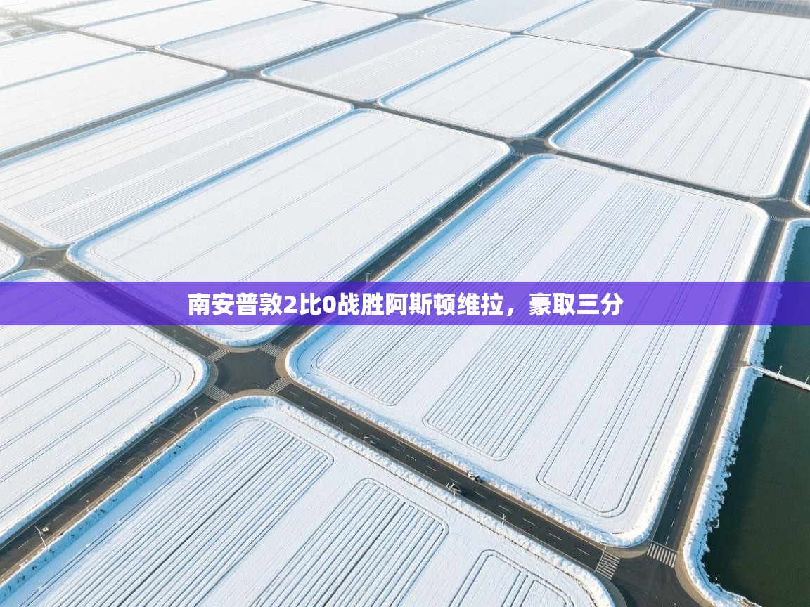 开云体育会员VIP开通-南安普敦2比0战胜阿斯顿维拉，豪取三分  第2张