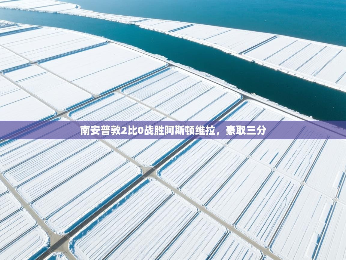 开云体育会员VIP开通-南安普敦2比0战胜阿斯顿维拉，豪取三分  第3张