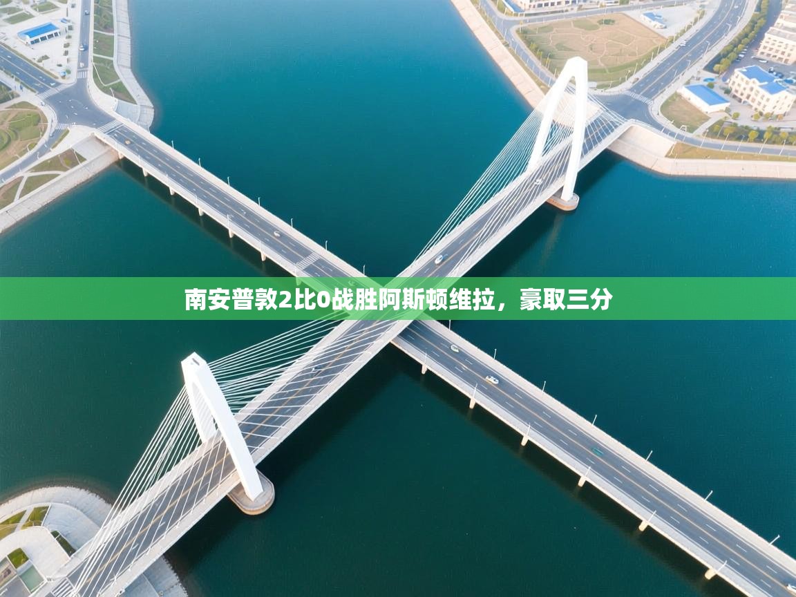 开云体育会员VIP开通-南安普敦2比0战胜阿斯顿维拉，豪取三分  第4张