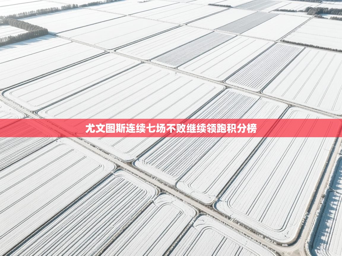 开云体育app下载链接-尤文图斯连续七场不败继续领跑积分榜 第4张