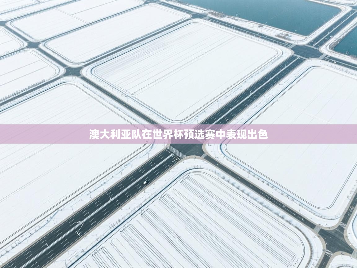 开云kaiyun体育app入口登录官网-澳大利亚队在世界杯预选赛中表现出色  第2张